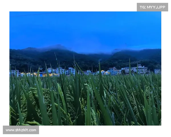 感受小满时节的田园韵味与人生哲理探寻乡村的宁静与生命的诗意