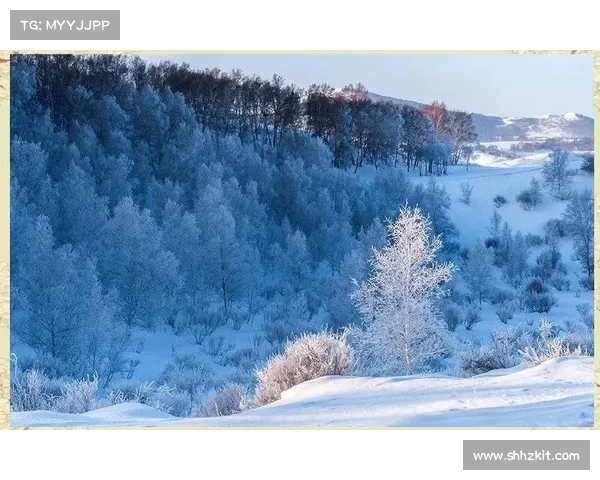 冬日湖畔诗意之旅五大必游景点 寻找雪景与静谧的完美邂逅