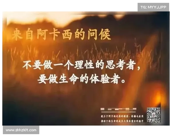 生命与救赎的觉醒之路:杜恩心灵转变与启发的深刻旅程