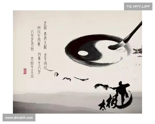 朱雀天境入境方式排名解析及其对修炼境界的影响