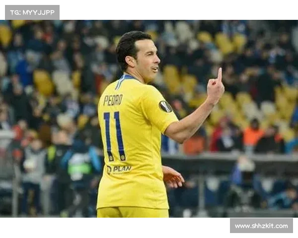 全面解析提升桑切斯球员竞技状态的七大高效训练与心理策略 全面解析提升桑切斯球员竞技状态的七大高效训练与心理策略