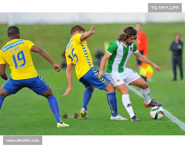 围绕波尔蒂足球俱乐部别称探索其历史脉络的全面探究视角